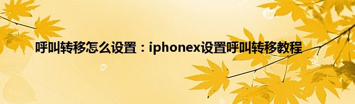 呼叫转移怎么设置：iphonex设置呼叫转移教程