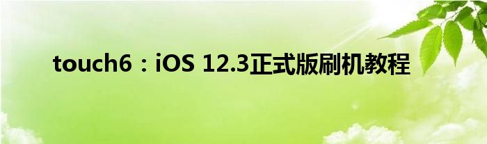 touch6：iOS 12.3正式版刷机教程