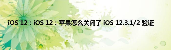 iOS 12：iOS 12：苹果怎么关闭了 iOS 12.3.1/2 验证