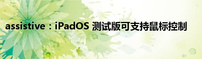 assistive：iPadOS 测试版可支持鼠标控制