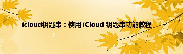 icloud钥匙串：使用 iCloud 钥匙串功能教程