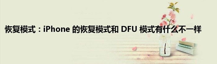 恢复模式：iPhone 的恢复模式和 DFU 模式有什么不一样