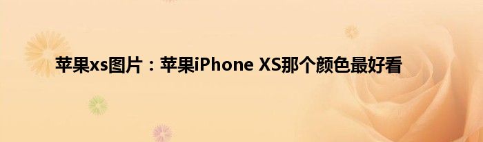 苹果xs图片：苹果iPhone XS那个颜色最好看