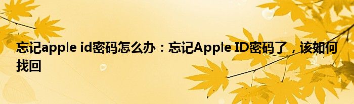 忘记apple id密码怎么办：忘记Apple ID密码了，该如何找回