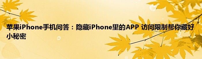 苹果iPhone手机问答：隐藏iPhone里的APP 访问限制帮你藏好小秘密