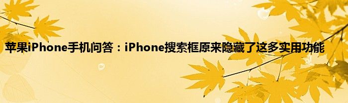 苹果iPhone手机问答：iPhone搜索框原来隐藏了这多实用功能