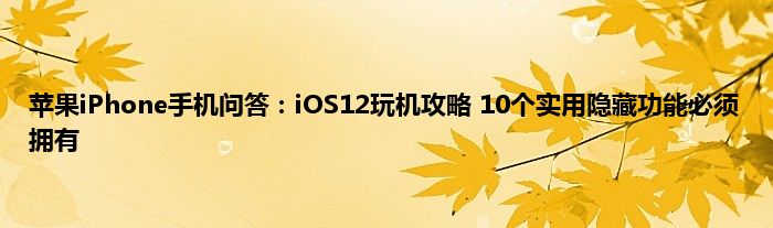 苹果iPhone手机问答：iOS12玩机攻略 10个实用隐藏功能必须拥有