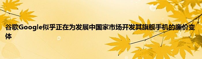 谷歌Google似乎正在为发展中国家市场开发其旗舰手机的廉价变体