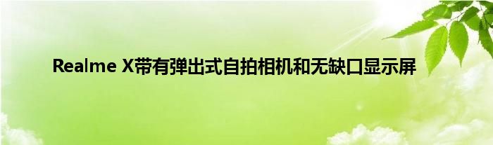 Realme X带有弹出式自拍相机和无缺口显示屏