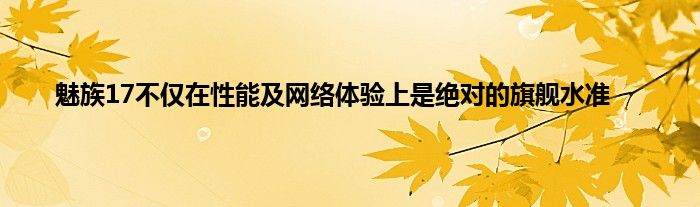 魅族17不仅在性能及网络体验上是绝对的旗舰水准