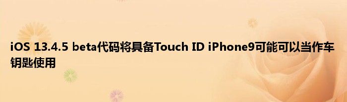 iOS 13.4.5 beta代码将具备Touch ID iPhone9可能可以当作车钥匙使用