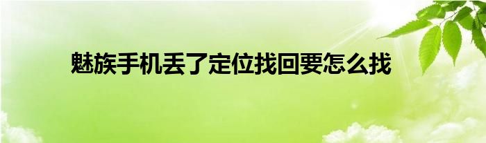 魅族手机丢了定位找回要怎么找