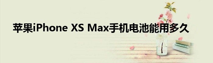 苹果iPhone XS Max手机电池能用多久