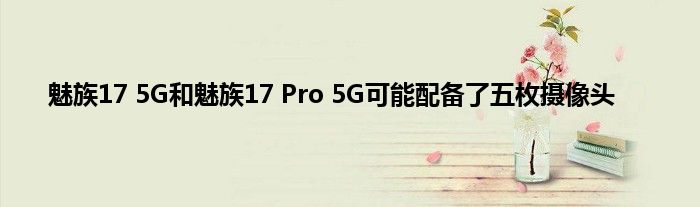 魅族17 5G和魅族17 Pro 5G可能配备了五枚摄像头