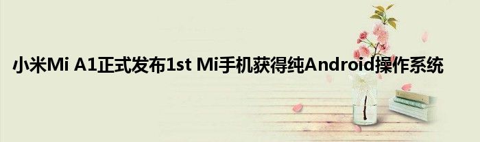 小米Mi A1正式发布1st Mi手机获得纯Android操作系统