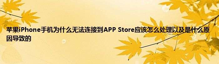 苹果iPhone手机为什么无法连接到APP Store应该怎么处理以及是什么原因导致的