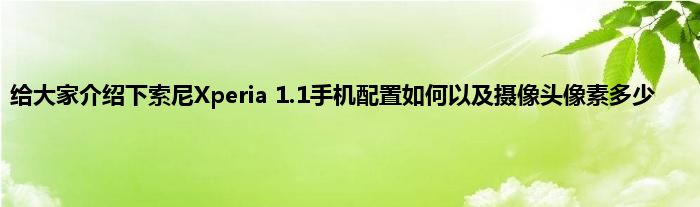 给大家介绍下索尼Xperia 1.1手机配置如何以及摄像头像素多少