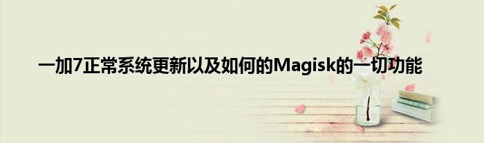 一加7正常系统更新以及如何的Magisk的一切功能