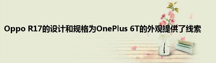 Oppo R17的设计和规格为OnePlus 6T的外观提供了线索