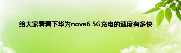 给大家看看下华为nova6 5G充电的速度有多快