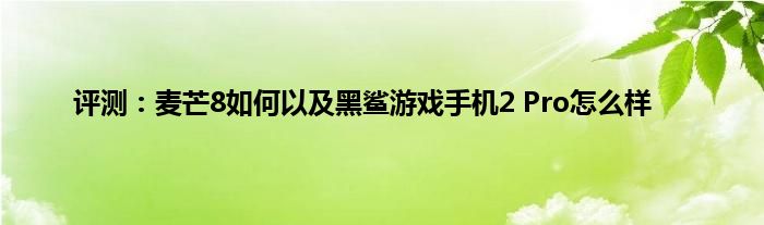 评测：麦芒8如何以及黑鲨游戏手机2 Pro怎么样