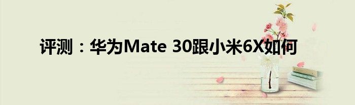 评测：华为Mate 30跟小米6X如何