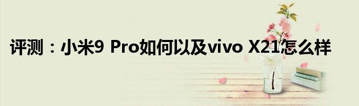 评测：小米9 Pro如何以及vivo X21怎么样