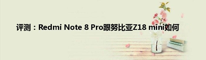 评测：Redmi Note 8 Pro跟努比亚Z18 mini如何