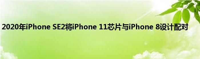 2020年iPhone SE2将iPhone 11芯片与iPhone 8设计配对