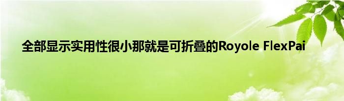 全部显示实用性很小那就是可折叠的Royole FlexPai