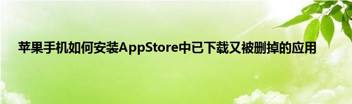 苹果手机如何安装AppStore中已下载又被删掉的应用