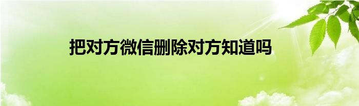 把对方微信删除对方知道吗