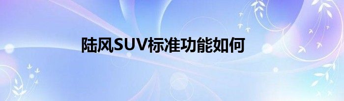 陆风SUV标准功能如何