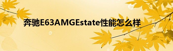 奔驰E63AMGEstate性能怎么样