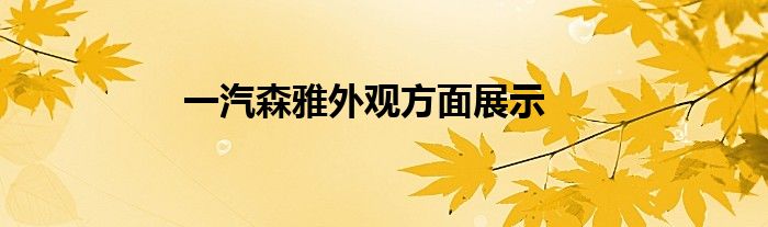 一汽森雅外观方面展示