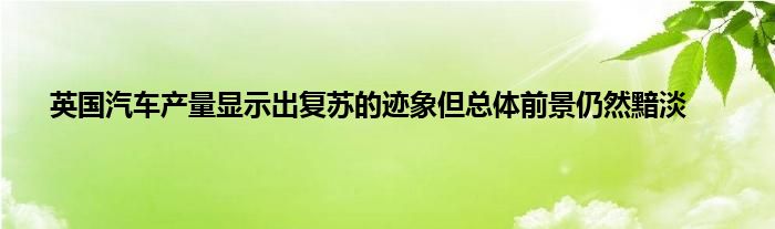 英国汽车产量显示出复苏的迹象但总体前景仍然黯淡