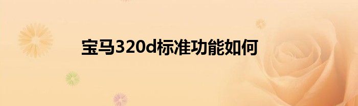 宝马320d标准功能如何