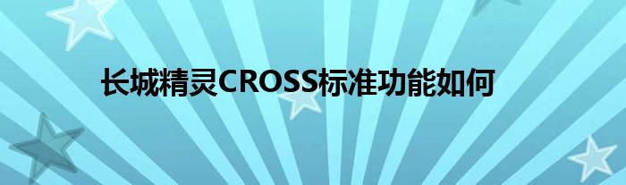 长城精灵CROSS标准功能如何