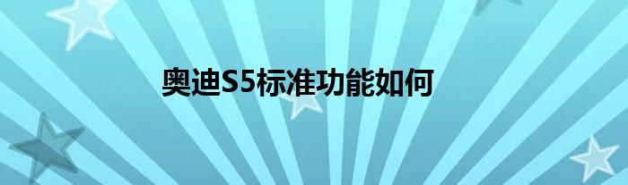 奥迪S5标准功能如何