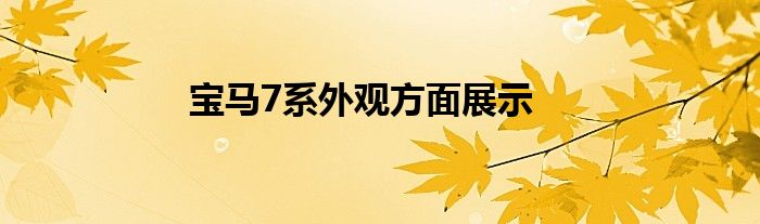 宝马7系外观方面展示