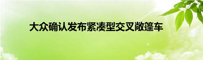 大众确认发布紧凑型交叉敞篷车