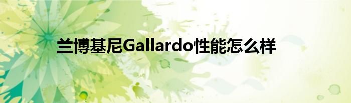 兰博基尼Gallardo性能怎么样