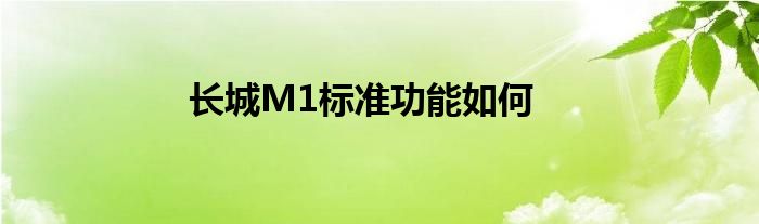 长城M1标准功能如何