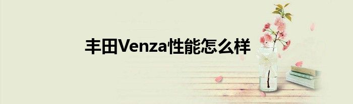 丰田Venza性能怎么样