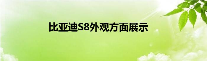 比亚迪S8外观方面展示