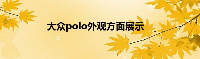 大众polo外观方面展示