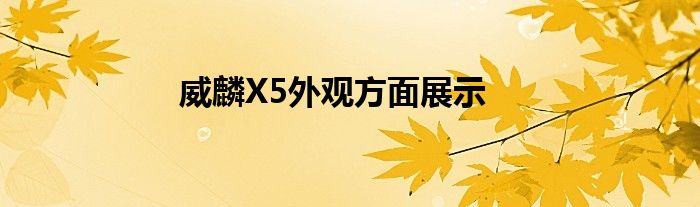 威麟X5外观方面展示