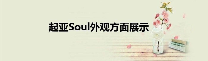 起亚Soul外观方面展示