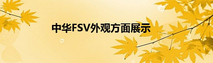 中华FSV外观方面展示