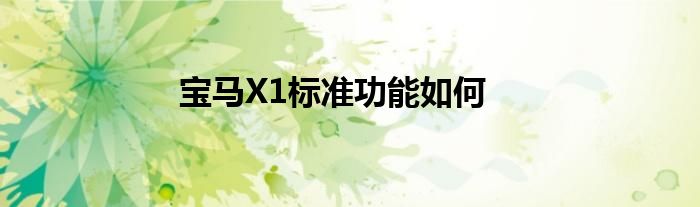 宝马X1标准功能如何